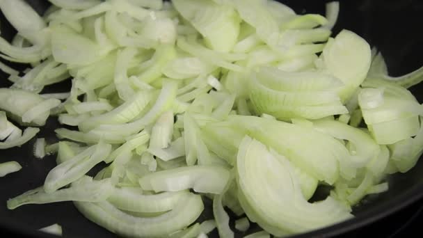 Several Sliced Onions Close — Stock Video