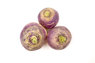 şalgam yakın plan beyaz zemin üzerinde izole