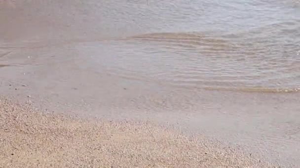 Fale Skraju Plaży Zbliżenie — Wideo stockowe