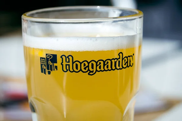 一杯Hoegaarden啤酒放在桌子上 — 图库照片