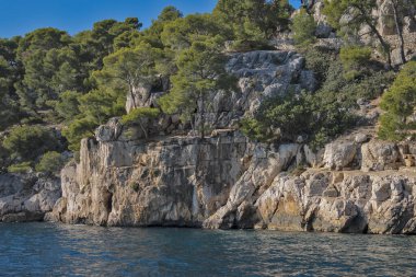 Denizden görünen Cassis dereleri.