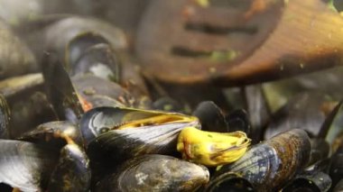 Bir tavada pişirme midye