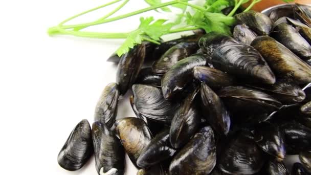 Pila Mejillones Crudos Primer Plano — Vídeo de stock