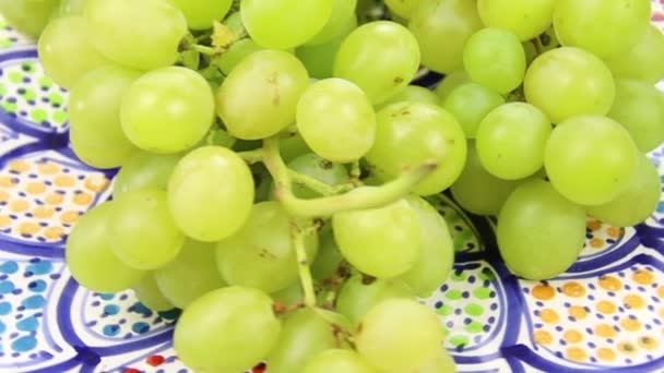 Primer Plano Racimo Uvas Blancas — Vídeo de stock