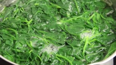 Kaynar suda taze ıspanak.