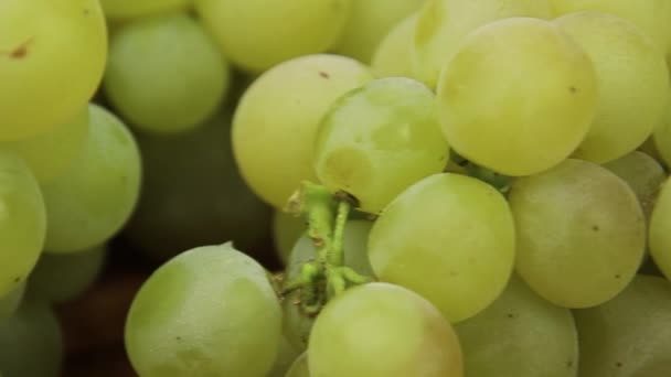 Свіжий Зелений Виноград Крупним Планом — стокове відео