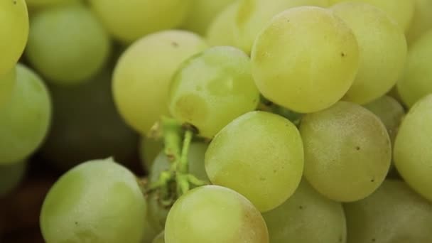Świeże Zielone Winogrona Zbliżenie — Wideo stockowe
