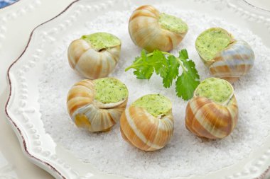 Maydanozlu taze salyangoz ve tereyağlı sarımsak.