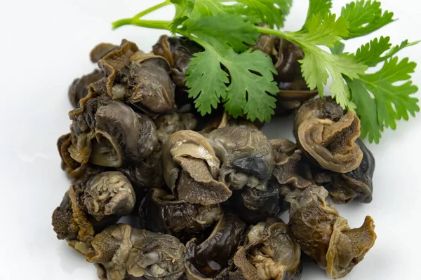 Cooked Burgundy Snails White Plate — Stock Photo, Image