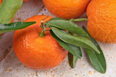 Yaprakları yakın planda olan bir grup mandalina.