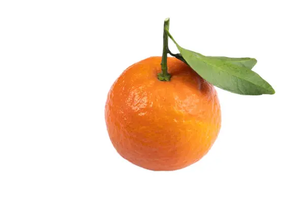 Eine Clementine Mit Blättern Nahaufnahme Auf Weißem Hintergrund — Stockfoto