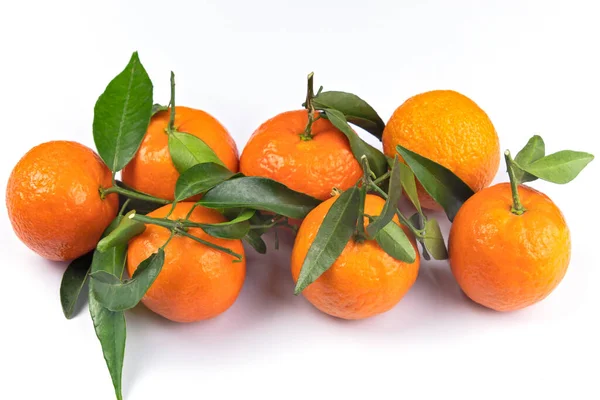 Group Clementines Leaves Close White Background — Stock Photo, Image