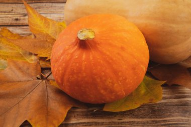 Ahşap arka planda sonbahar balkabakları ve sarı akçaağaç yaprakları