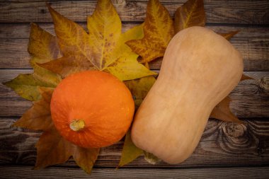 Ahşap arka planda sonbahar balkabakları ve sarı akçaağaç yaprakları
