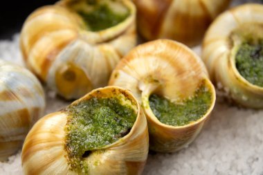 Maydanozlu ve sarımsaklı taze salyangoz. 