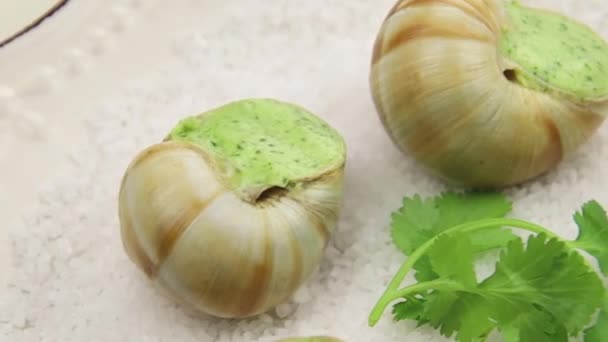 Fresh Baked Snails Parsley Garlic Butter Plate — Stock Video