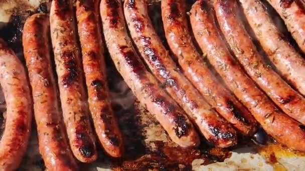 Cooking Sausages Merguez Barbecue — Stock Video