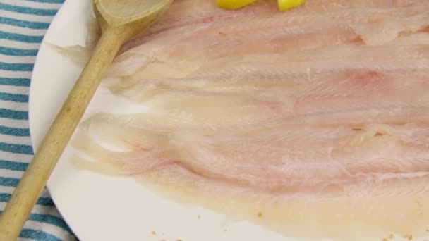 Raw Flounder Fillet Plate – Stock-video