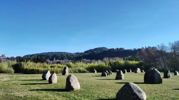 Big Rocks Green Lawn — Stockvideo