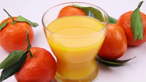 Fresh Orange Juice Clementines Leaves — Stock Video