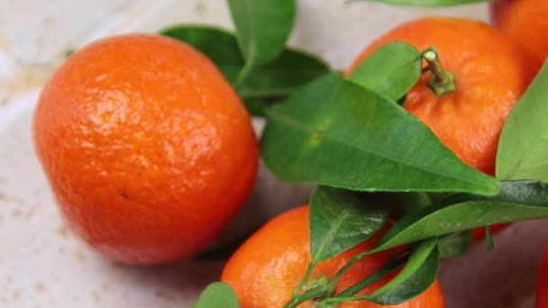 Group Clementines Leaves Closeup Table — Vídeo de Stock