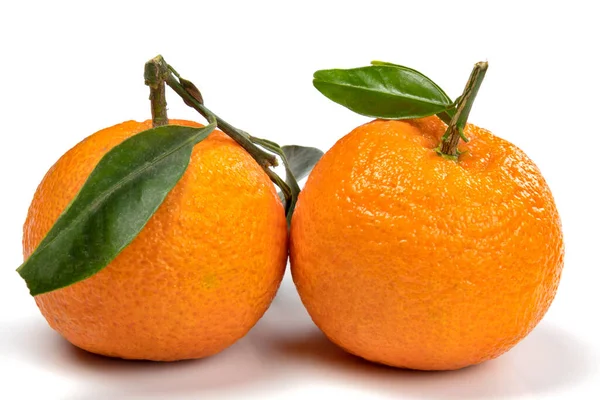 Yaprakları beyaz arkaplanda izole edilmiş yakın plan çekimli mandalinalar grubu