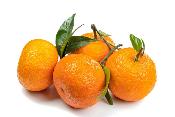 Gruppe Von Clementinen Mit Blättern Nahaufnahme Isoliert Auf Weißem Hintergrund — Stockfoto