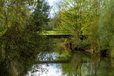 Parktaki nehrin güzel manzarası