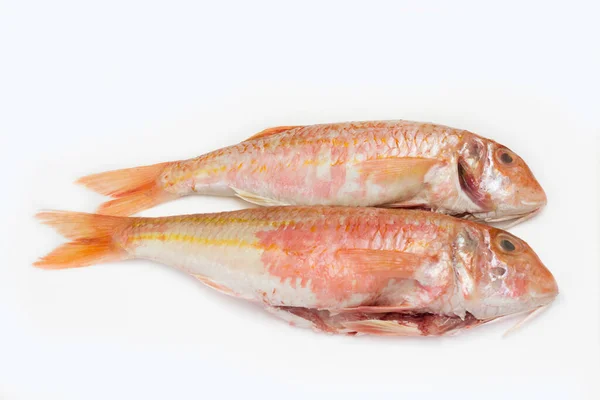 在白色背景上分离的新鲜生鱼 — 图库照片