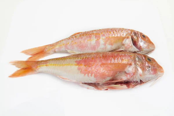 Ikan Mentah Segar Diisolasi Latar Belakang Putih — Stok Foto