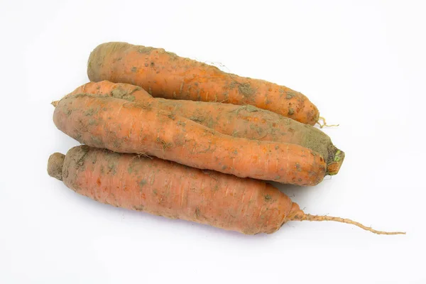 Carottes Fraîches Isolées Sur Fond Blanc — Photo