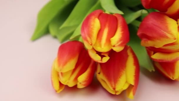 Mooie Tulpen Houten Achtergrond — Stockvideo