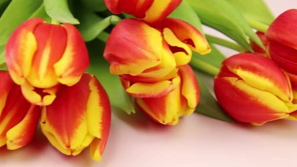 Schöne Tulpen Auf Holzgrund — Stockvideo