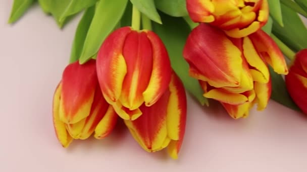 Piękne Tulipany Drewnianym Tle — Wideo stockowe