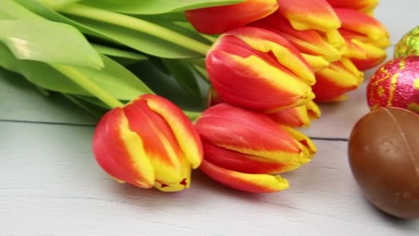 Belles Tulipes Sur Fond Bois — Video