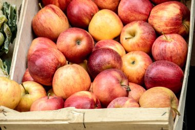 Bir kutuda taze kırmızı elmalar