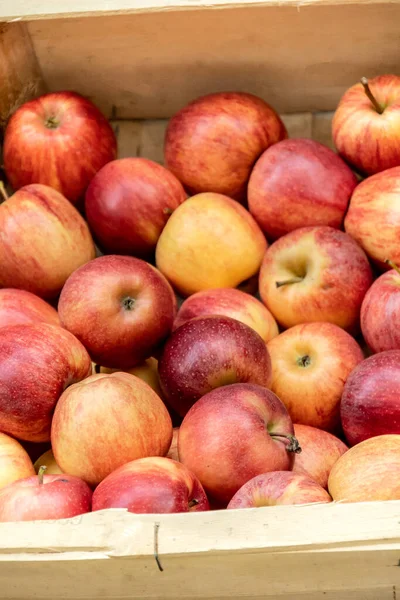 Rode Appels Een Doos — Stockfoto