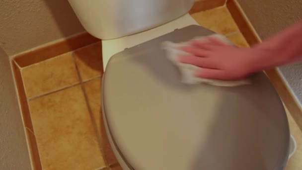 Person Who Cleans Toilets — Stock Video