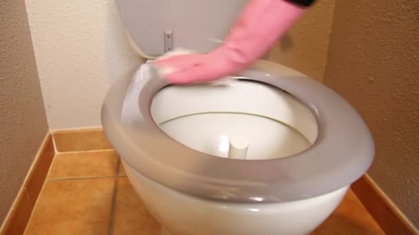 Personne Qui Nettoie Les Toilettes — Video