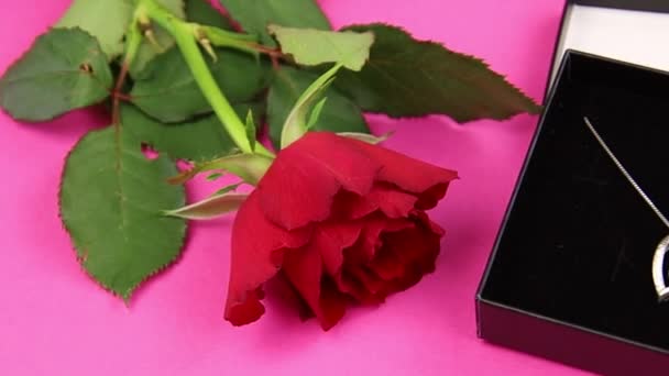 Rose Rouge Boîte Cadeau Avec Pendentif Saint Valentin — Video