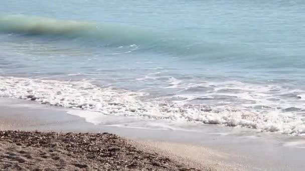 Vista Praia Prado Marselha — Vídeo de Stock