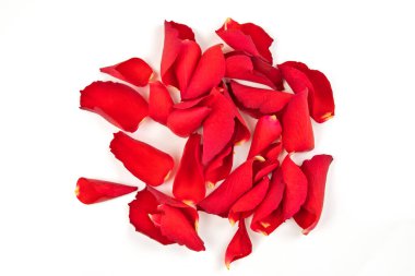 Beyaz arkaplanda kırmızı gül yaprakları izole