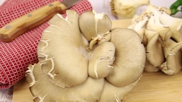 Oyster mushrooms on a white background — Stock Video