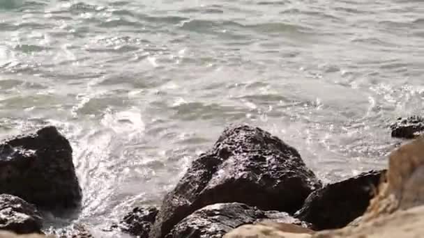 Piaszczysta Plaża Dużymi Skałami Prado Plaża Marsylia Francja — Wideo stockowe