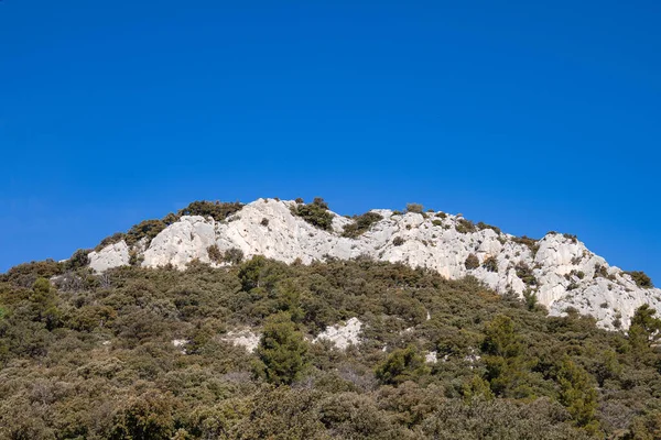 Pohled Dentelles Montmirail Vaucluse Francii — Stock fotografie