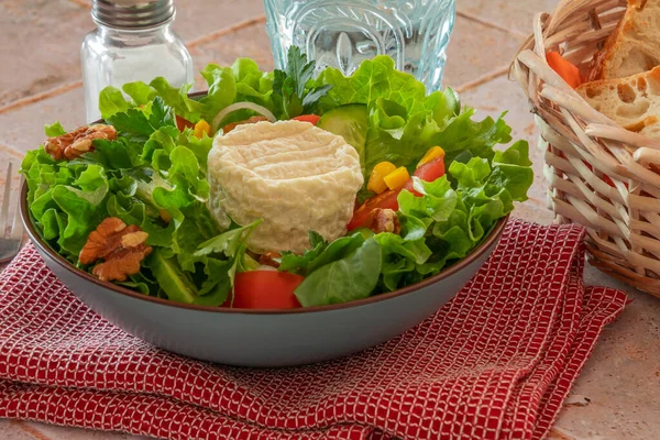 Tavuk Sebze Peynirli Salata — Stok fotoğraf