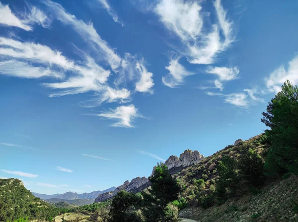 Widok Dentelles Montmirail Vaucluse Francji — Zdjęcie stockowe