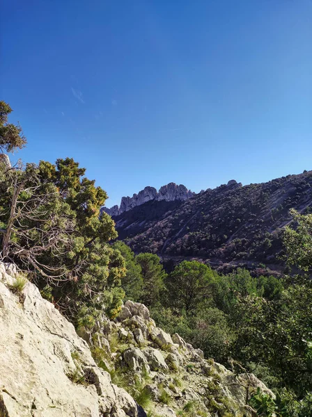 Widok Dentelles Montmirail Vaucluse Francji — Zdjęcie stockowe