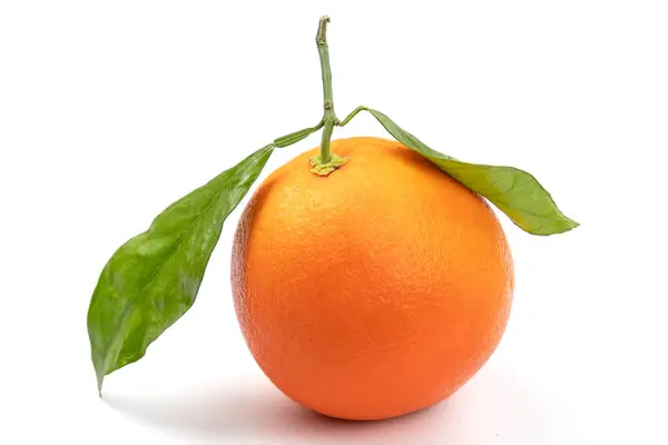 Een Clementine Met Bladeren Geïsoleerd Een Witte Achtergrond — Stockfoto