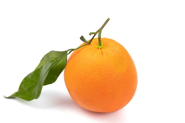 Een Clementine Met Bladeren Geïsoleerd Een Witte Achtergrond — Stockfoto